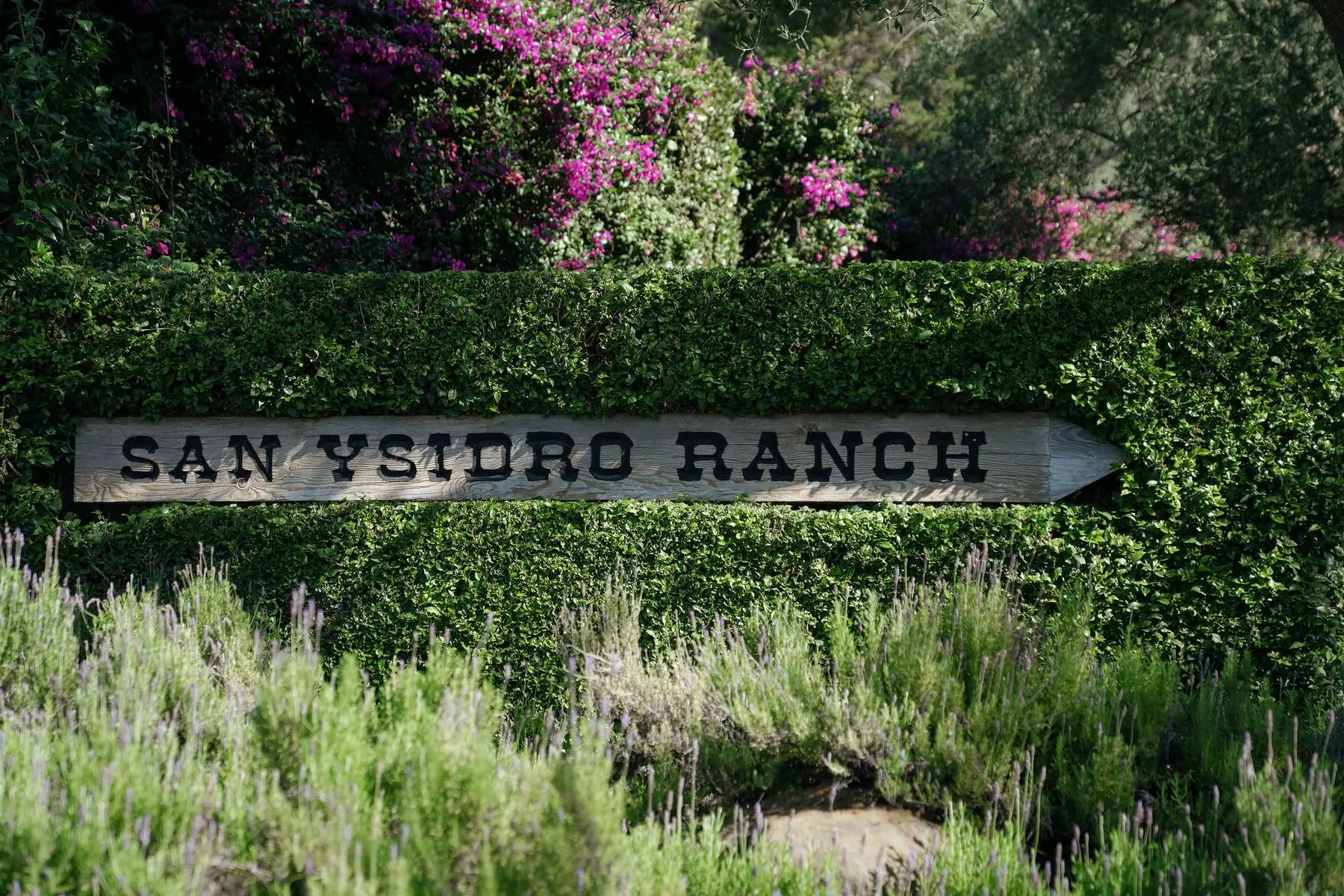 Rachel and Cole's wedding, San Ysidro Ranch, Montecito