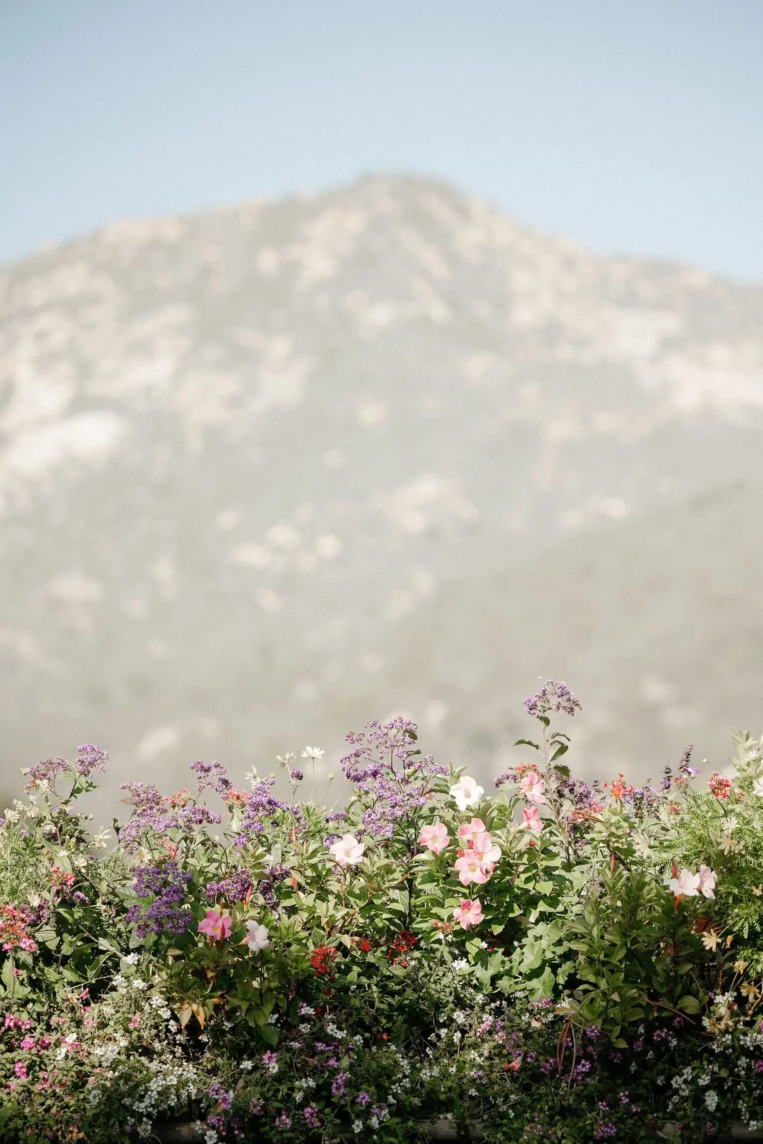 Rachel and Cole's wedding, San Ysidro Ranch, Montecito