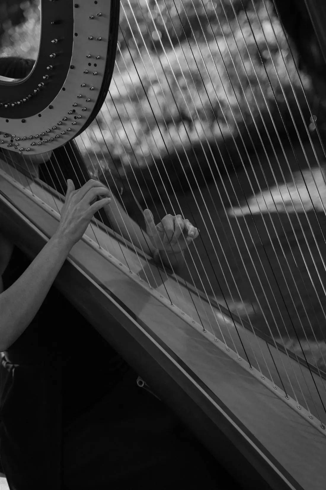 Rachel and Cole's wedding, San Ysidro Ranch, Montecito