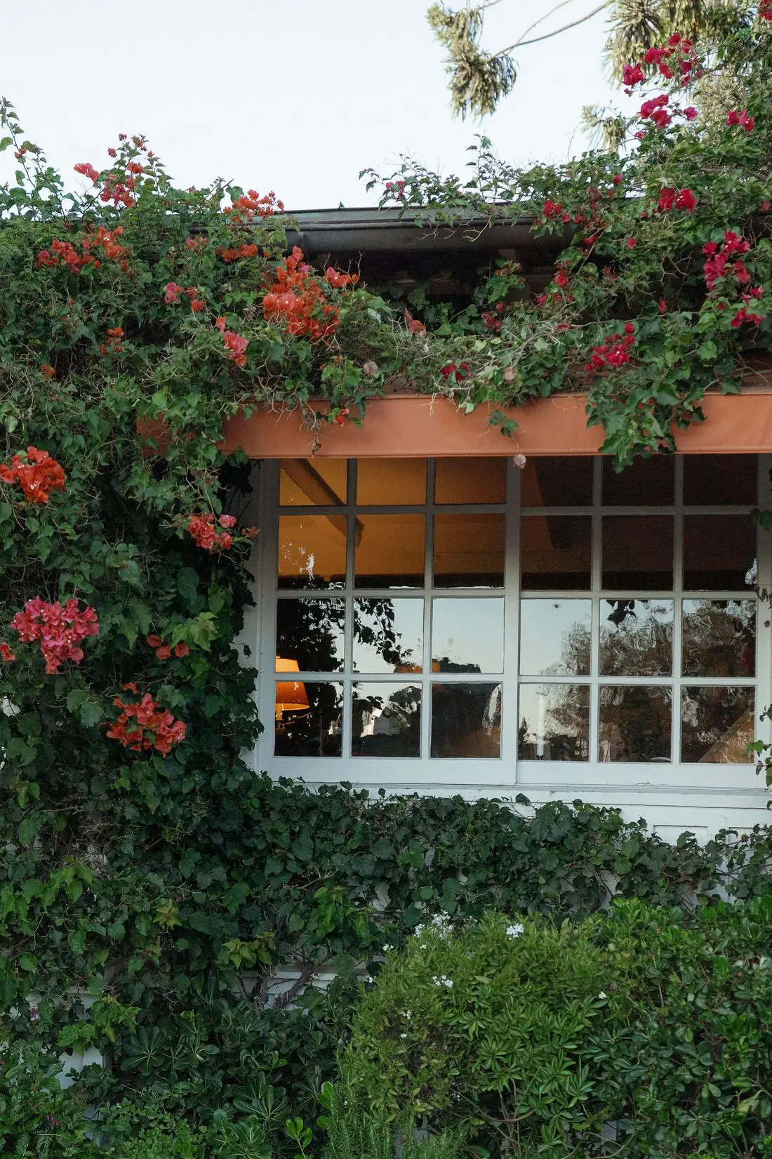 Rachel and Cole's wedding, San Ysidro Ranch, Montecito