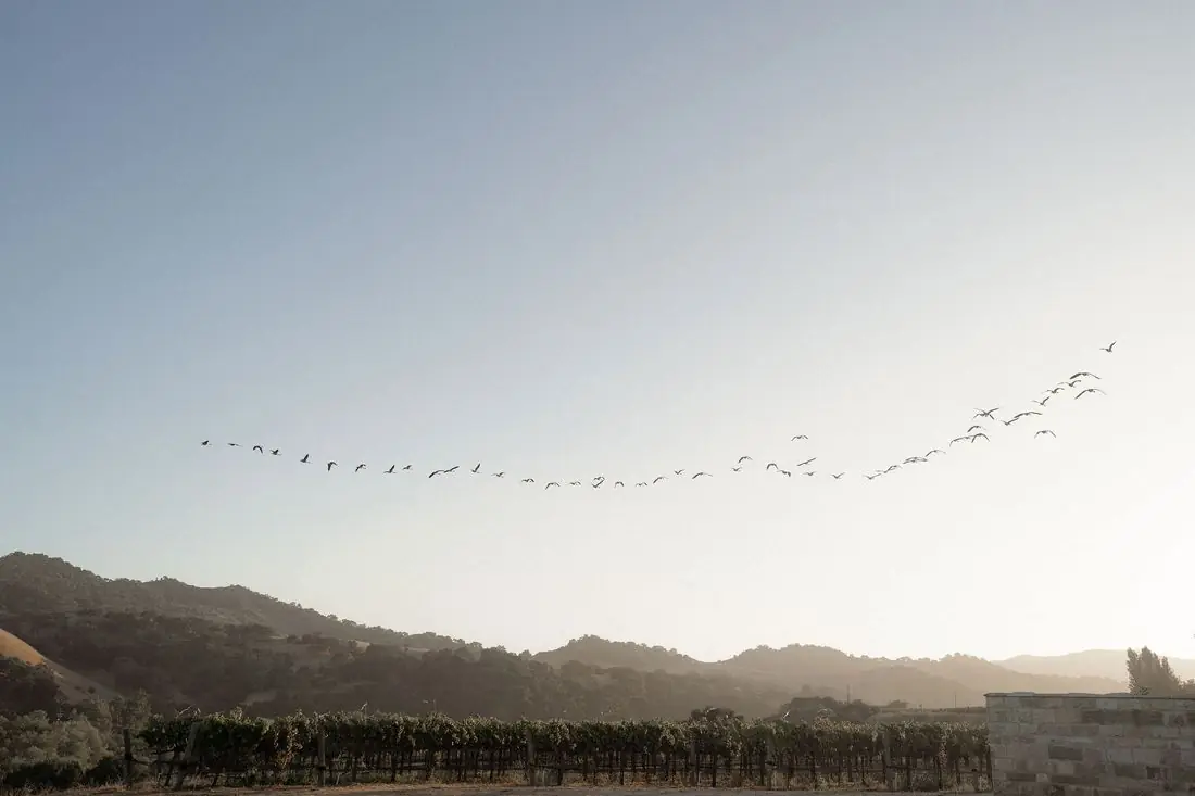 Dayna and Nick, Sunstone Villa, Santa Ynez