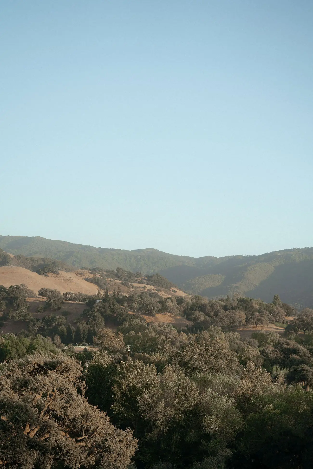 Dayna and Nick, Sunstone Villa, Santa Ynez